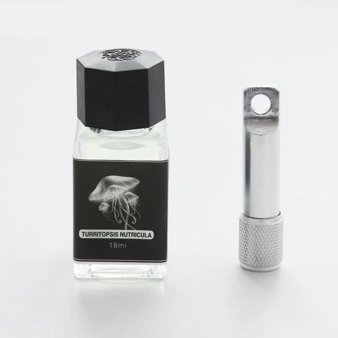 Tinta Fluorescente para Caneta Tinteiro - Zerifo